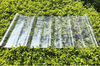 Greenhouse Daylighting Transparent PC Roof Sheet Plastic Polycarbonate Sheet